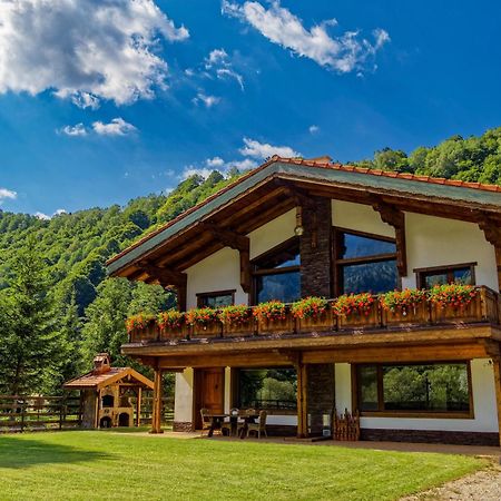 Avalanche Plaiul Foii Villa Zărneşti Dış mekan fotoğraf